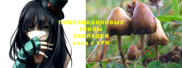 синтетический гашиш Алексеевка