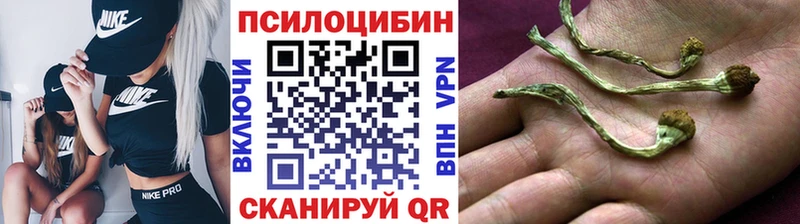 закладки  Тюкалинск  Псилоцибиновые грибы Cubensis 